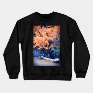 Autumn Park Crewneck Sweatshirt